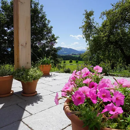 Casa Montagna Daire